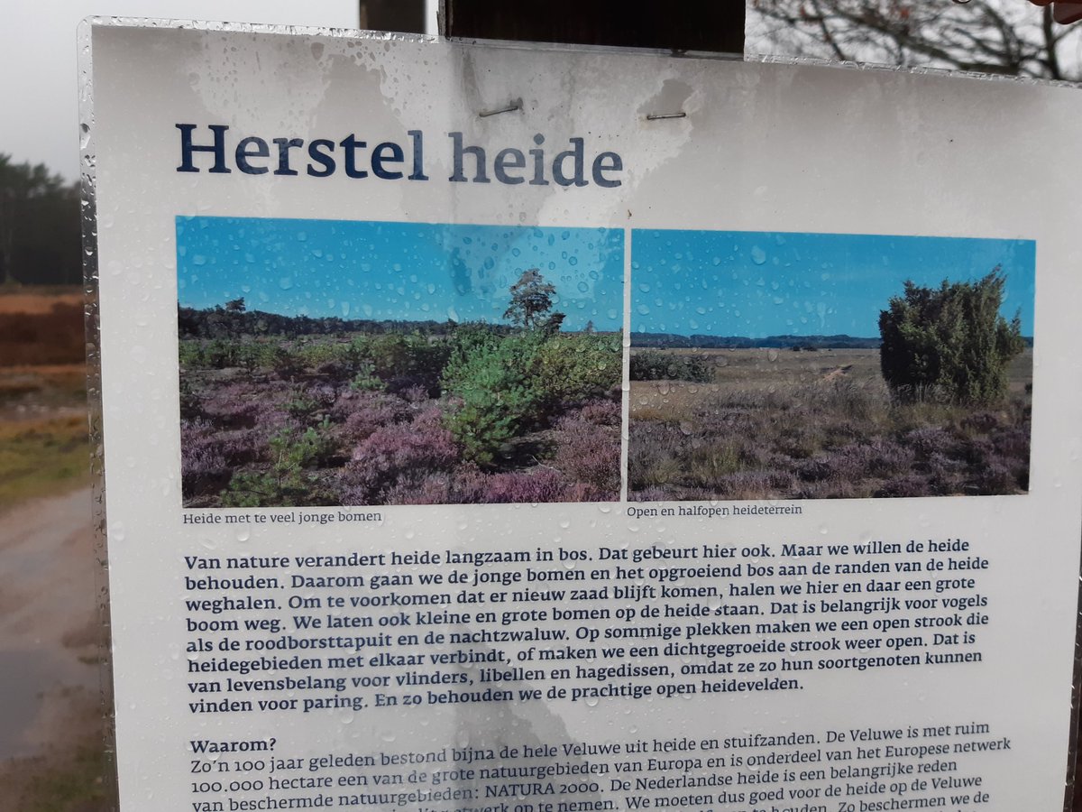 We zijn gestart met heidebeheer op de heide van Schenkenshul <a href="/hoenderloo/">Hoenderloo</a> 
<a href="/Inhetgroen/">Inhetgroen</a> voert voor <a href="/staatsbosbeheer/">Staatsbosbeheer</a> deze werkzaamheden uit. Veel mensen met afstand tot de arbeidsmarkt werken mee.
Het heideherstel wordt mogelijk gemaakt door een bijdrage van
<a href="/provgelderland/">Provincie Gelderland</a>