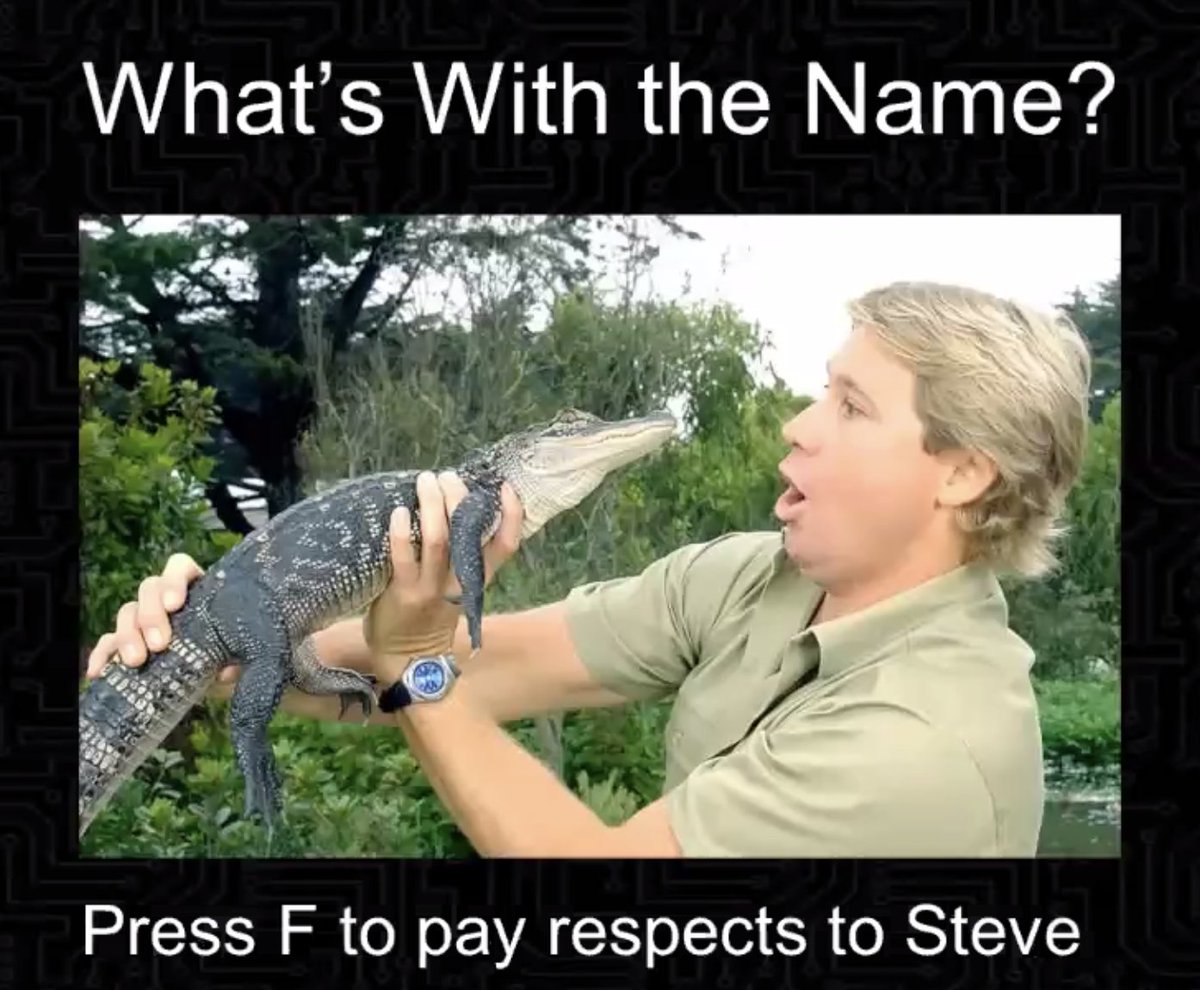 More research needed.The name is after Steve Irwin (crocodile hunter), who was killed by a stingray.