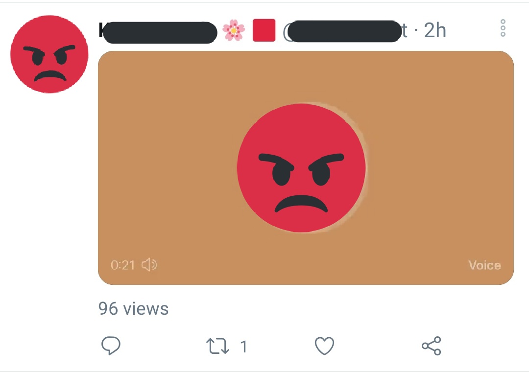 They also recorded tonnes of voice notes saying similar things. There was at least 10. Someone I know downloaded them all in case. They were clearly very angry and drunk. I listened to a couple but it was pretty harrowing. They were worse than the tweets