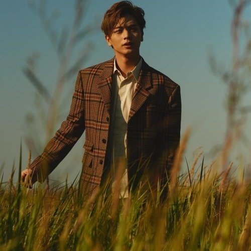 What's with this concept tho