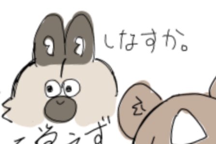 いぬも 