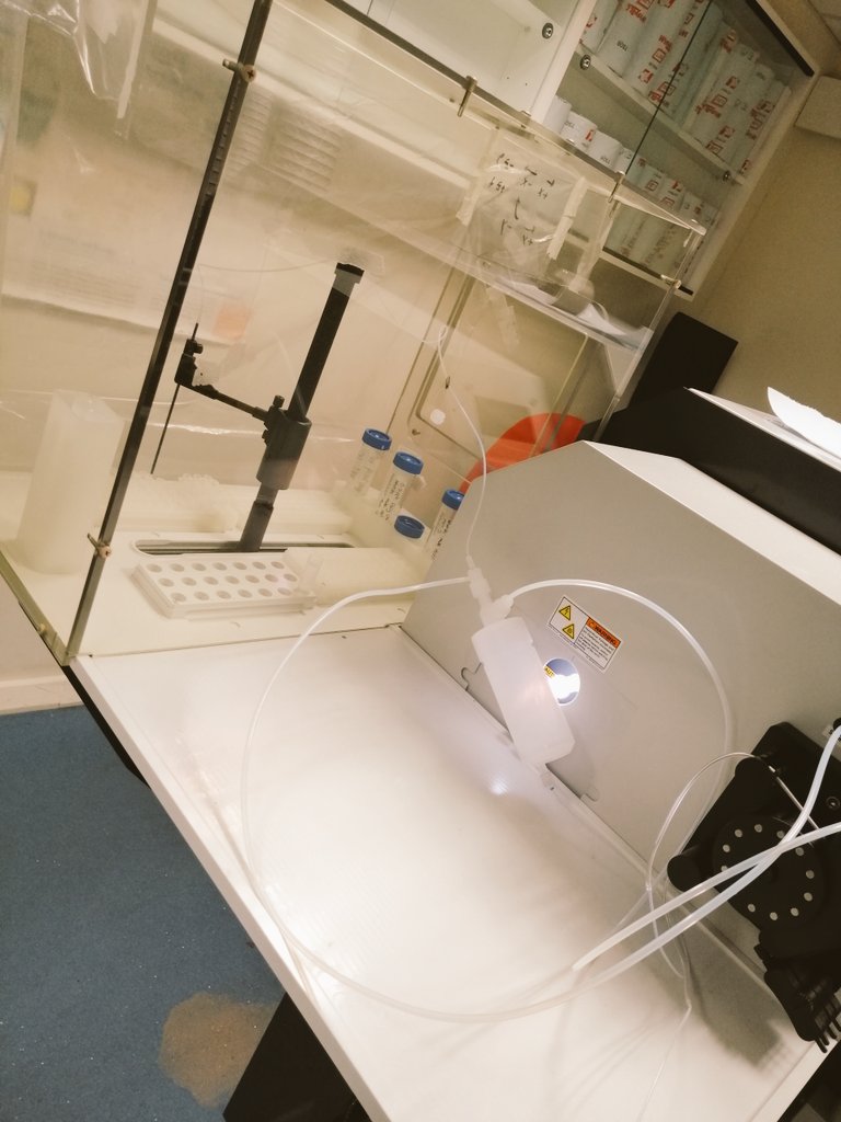 mickynairn's tweet photo. Forams.
On the Element.
Via solution.
Very 2016. #ForamFun https://t.co/r3TZBDZbbX