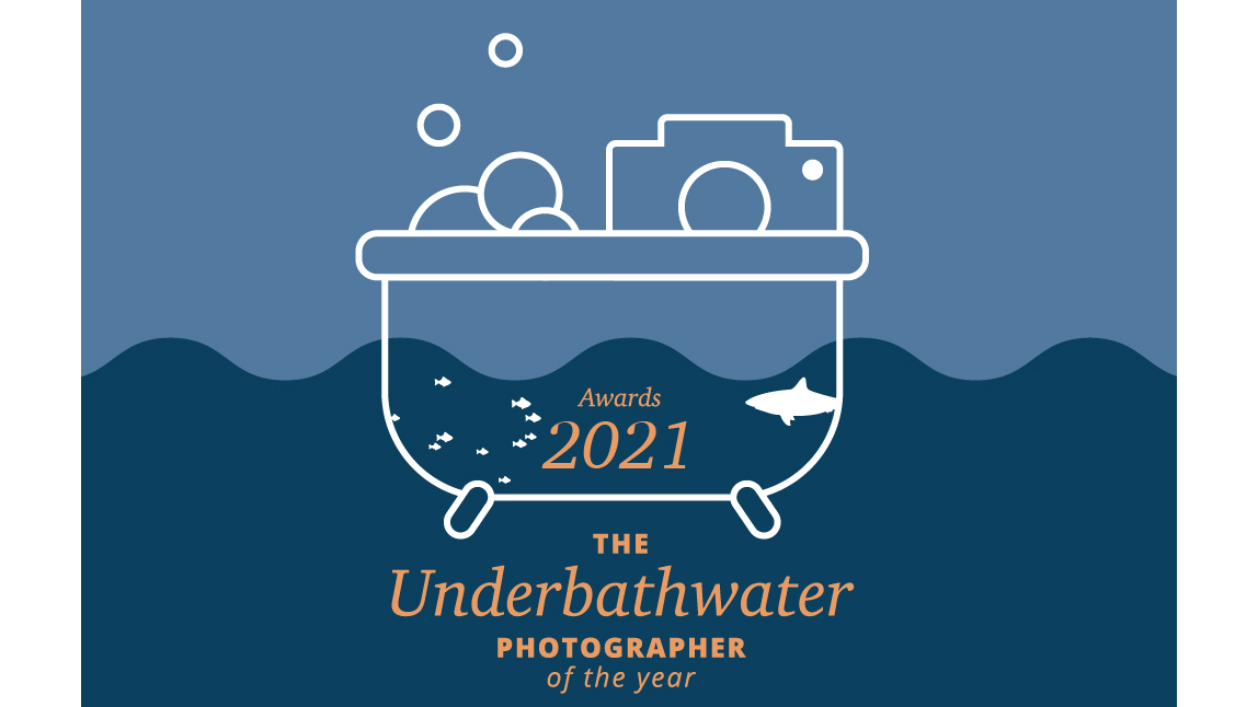 Scubaverse tweet media