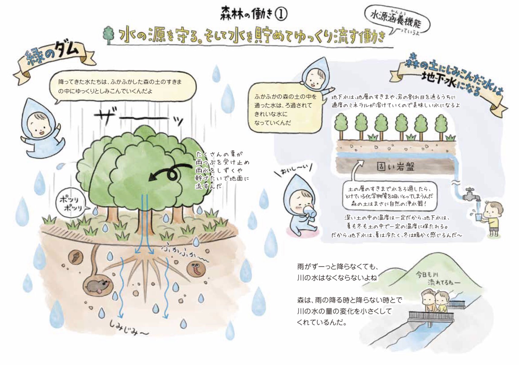 Wrath Of Gnon Lovely Japanese Illustrated Pamphlet Of Important Ways The Forests Protects The Land And The Ocean Green Dam Or Aquifer Protector Of The Rivers And The Ocean The