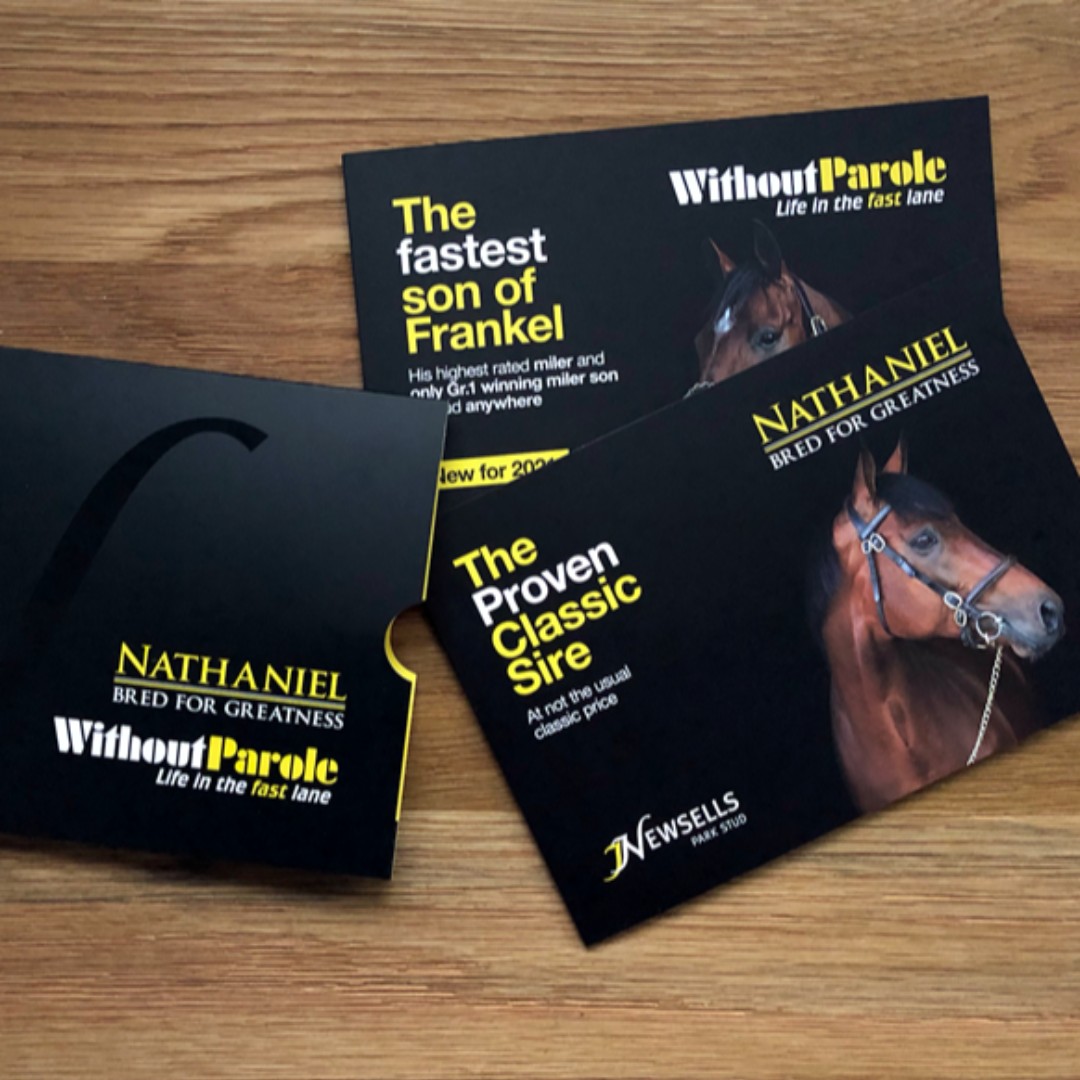 MAXX | Marketing Agency tweet media