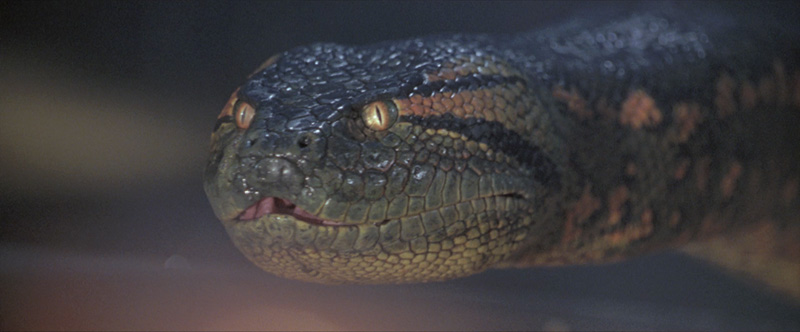Anaconda [1997] macabra.tv