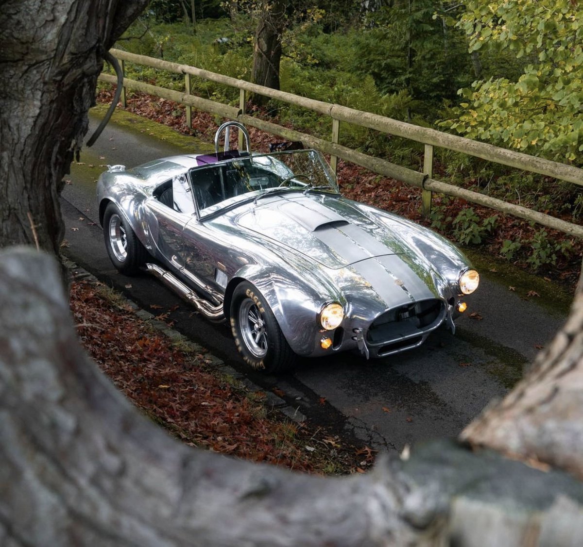 Tomcob427's tweet photo. I spy something shiny! #Cobra #ACCobra #Shelby #MuscleCar #ClassicCar #ShelbyCobra #WheelWednesday https://t.co/HQvDgvMfsL