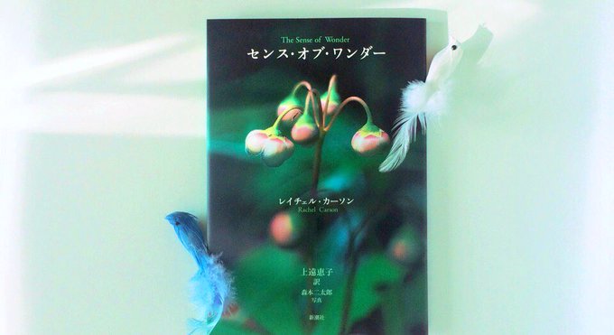 センス オブ ワンダーのtwitterイラスト検索結果 センス オブ ワンダーのtwitterイラスト検索結果