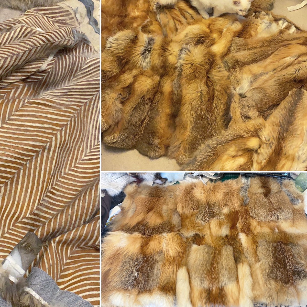 EmilouFur's tweet photo. Work in progress on a #foxfur blanket made from 6 vintage jackets. They didn’t match in colour, so I created a mixed squares design to emphasise the different colours! #fur #realfur #vintagefur https://t.co/otlK8ndgy4