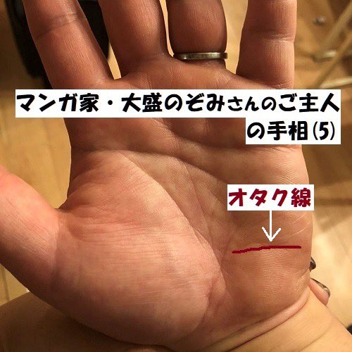 ２つ目はオタク線です 普通の人があまり関心を持たないものに没頭する性格を示しています１つのことに対する集中力と持続力が強く 21 02 03 手相刑事 江幡 龍 公式サイト
