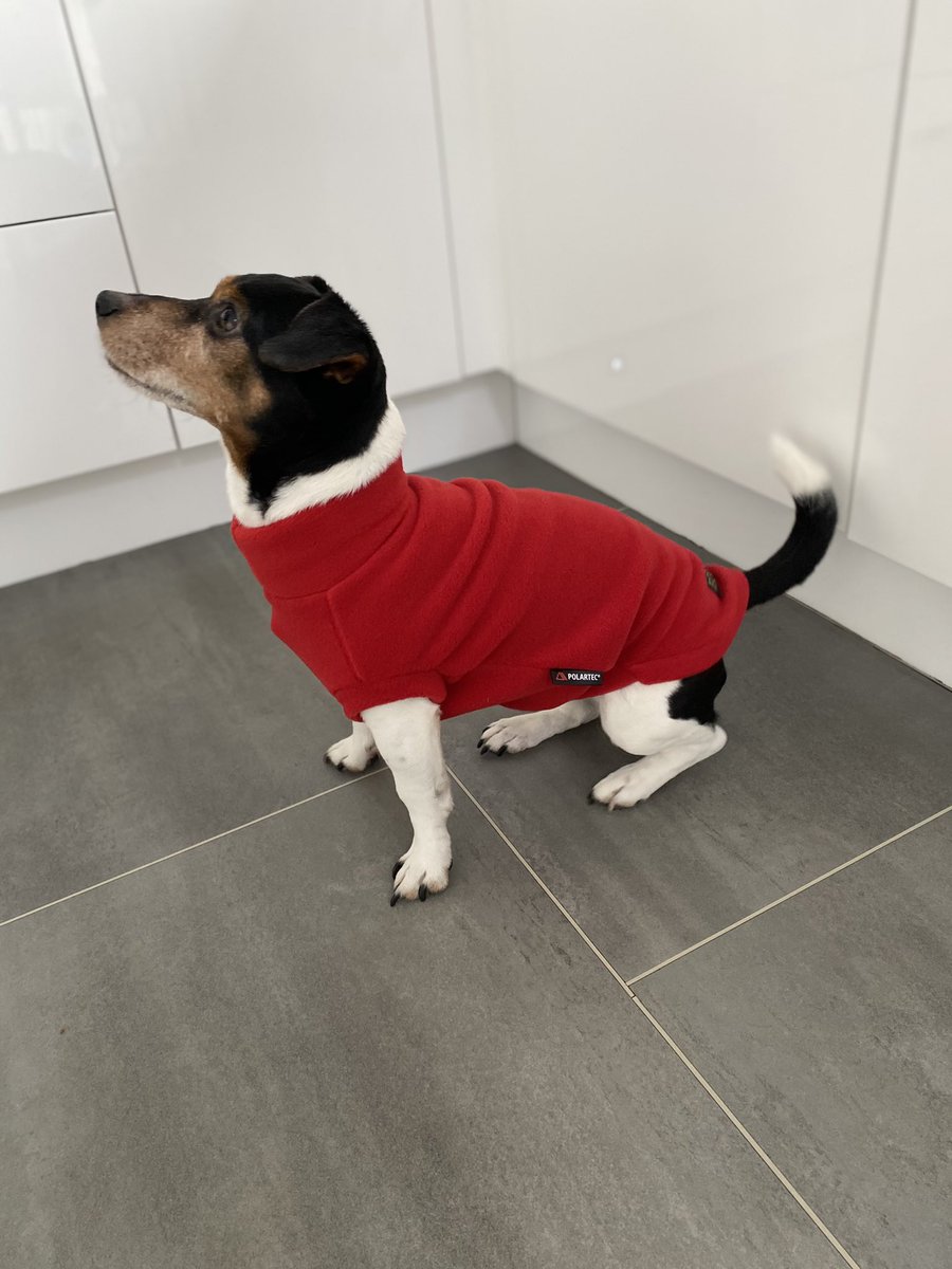 jyserchief's tweet photo. Robbie’s fleece arrived today from @equafleece https://t.co/K8anDwMDWY