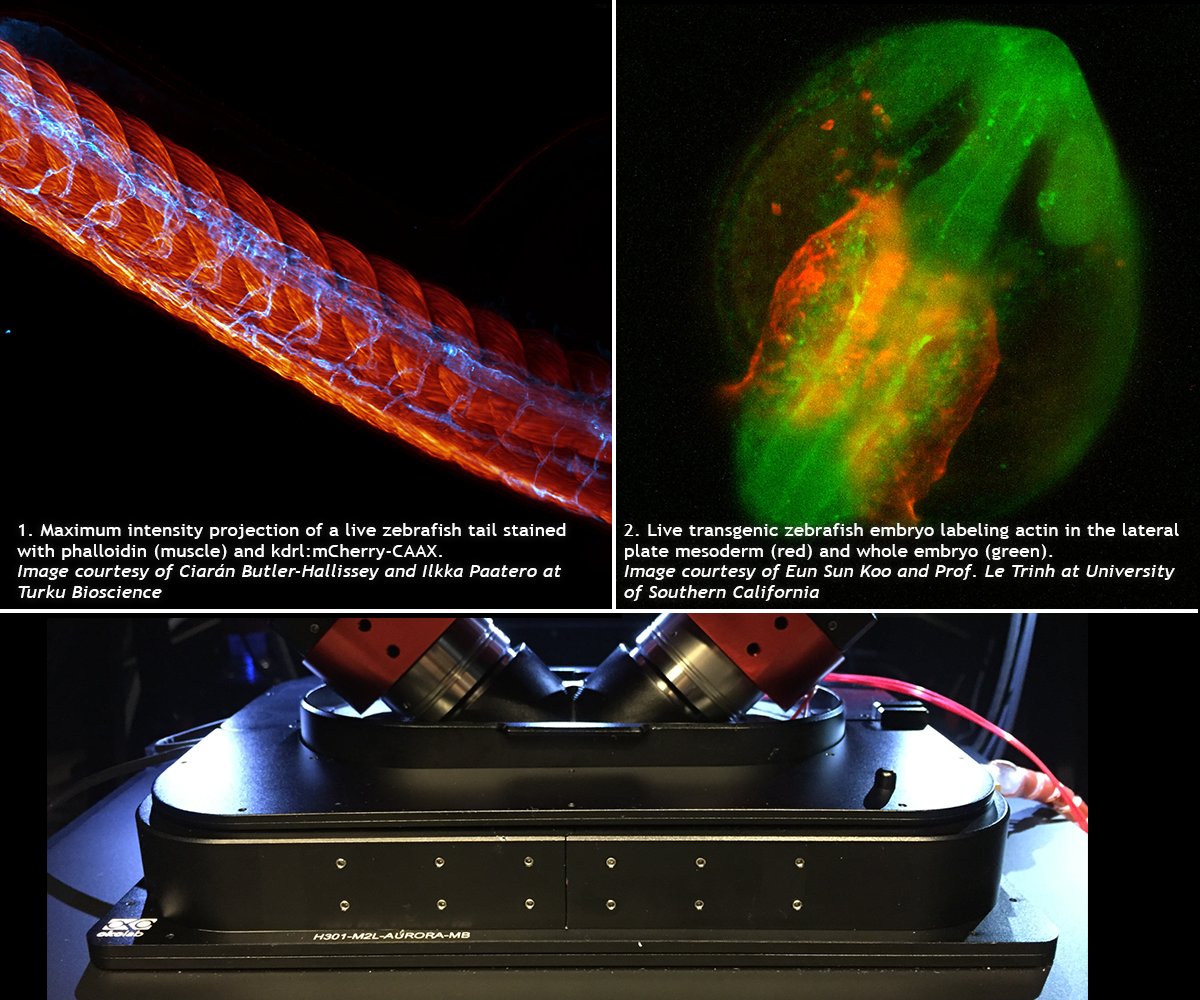 Okolabgroup's tweet photo. We've been very glad to accept the request coming from @M2Lasers to develop a #topstageincubator to enable #timelapseimaging on their AURORA Airy Beam #LightSheet #microscopysystem. A couple of powerful results reached can be seen in the following images. #science #research https://t.co/SFDNKehRrQ