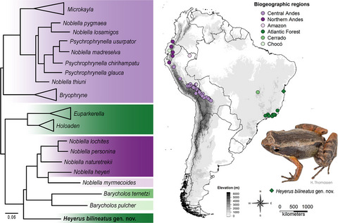 Pedro Taucce tweet media