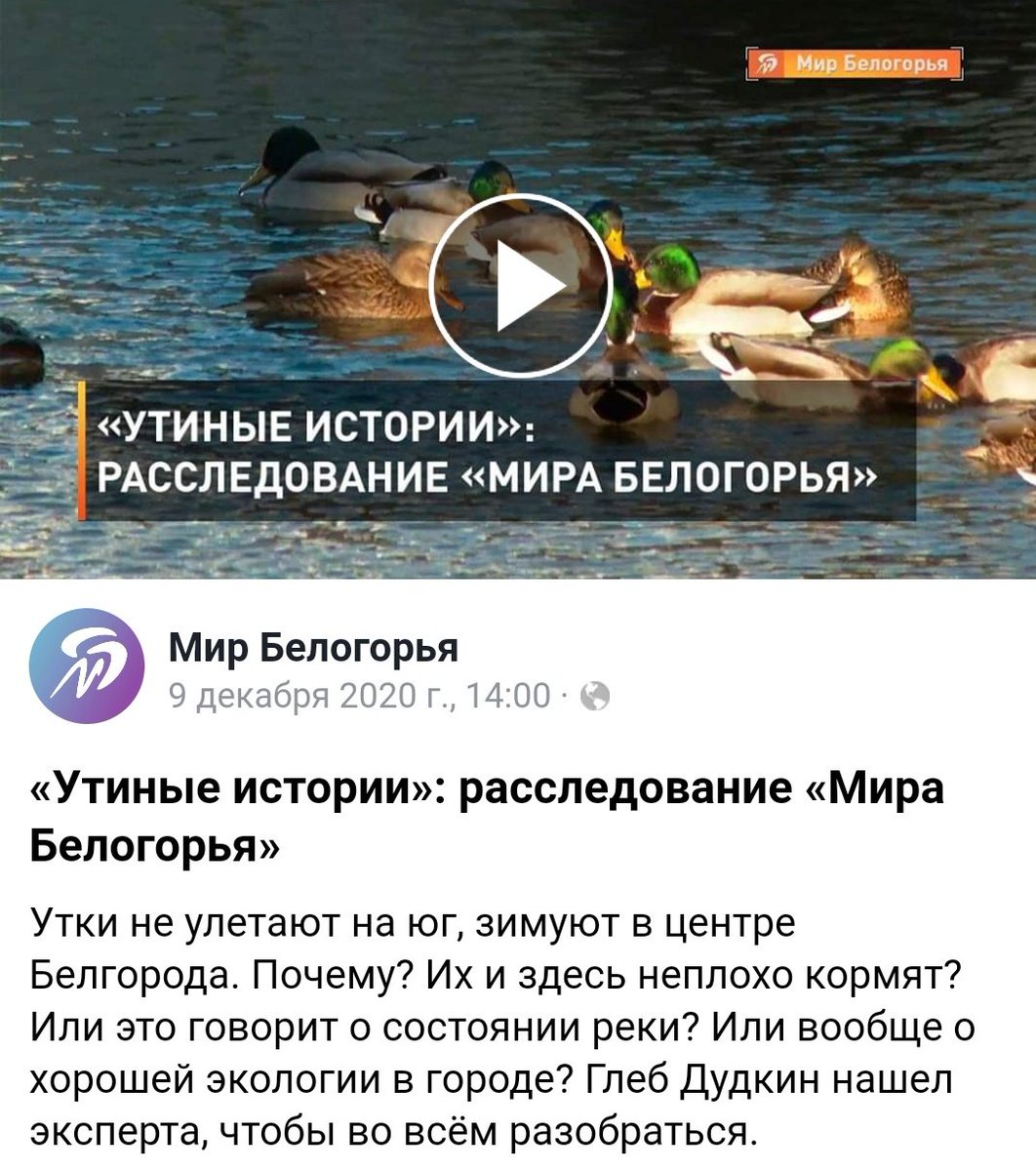 Расследовательская журналистика.