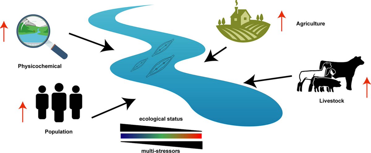 Filloux lab (@fillouxlab) on Twitter photo From Pseudomonas aeruginosa to diatom diversity. Congratulations to Panayiota <a href="/pissaridou/">Panayiota Pissaridou</a>. Great to see previous PhD students developing new research area with great success. Check the paper at sciencedirect.com/science/articl… From Pseudomonas aeruginosa to diatom diversity. Congratulations to Panayiota <a href="/pissaridou/">Panayiota Pissaridou</a>. Great to see previous PhD students developing new research area with great success. Check the paper at sciencedirect.com/science/articl…