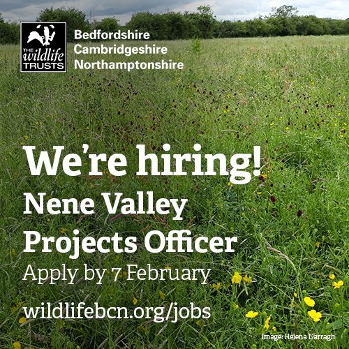 wildlifebcn's tweet image. Final few days to apply for these roles, don't miss out!
To view our job opportunities and join the team, visit: wildlifebcn.org/jobs 
#environmentjobs #jobs #hiring