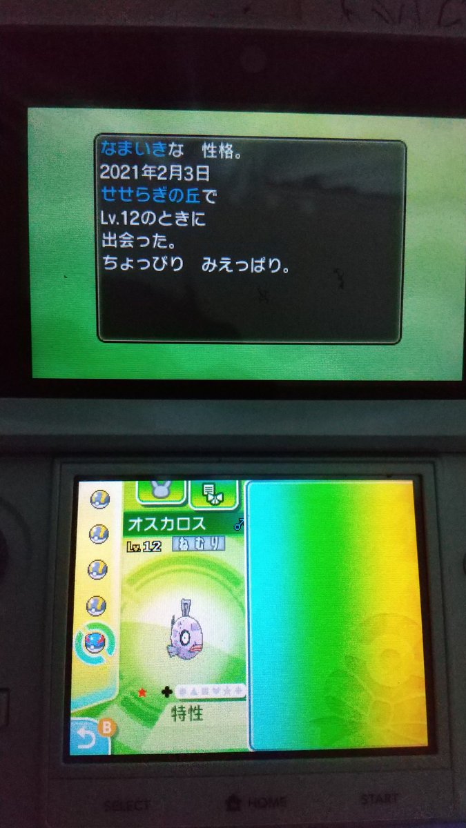 けーすけ ダジャレおとこ Yamk Kami 色違いだしたぜ もちろん色違い連鎖 そしてもちろんシンクロはずしたぜ じゃあ卵でやれや 夢特性だったので特性パッチ使えない ウルトラサンムーン ポケモン 色違いポケモン ヒンバス