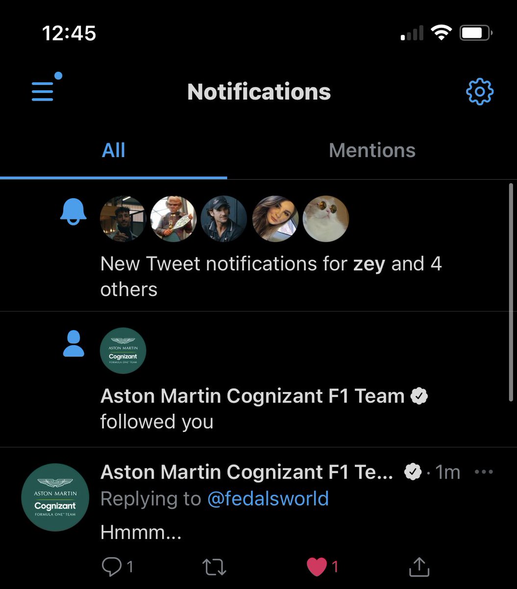 vettelweb's tweet photo. I’m crying so much 😭😭 I love Aston Martin. Thank you so much 💚💚 https://t.co/FZ2gQtcjdv
