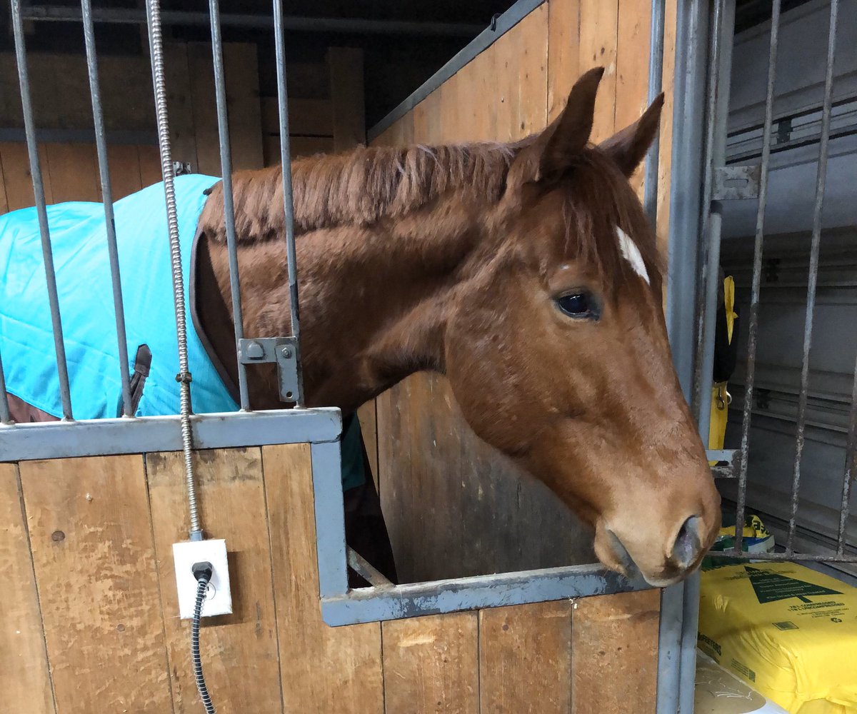 CANTER Kentucky tweet media