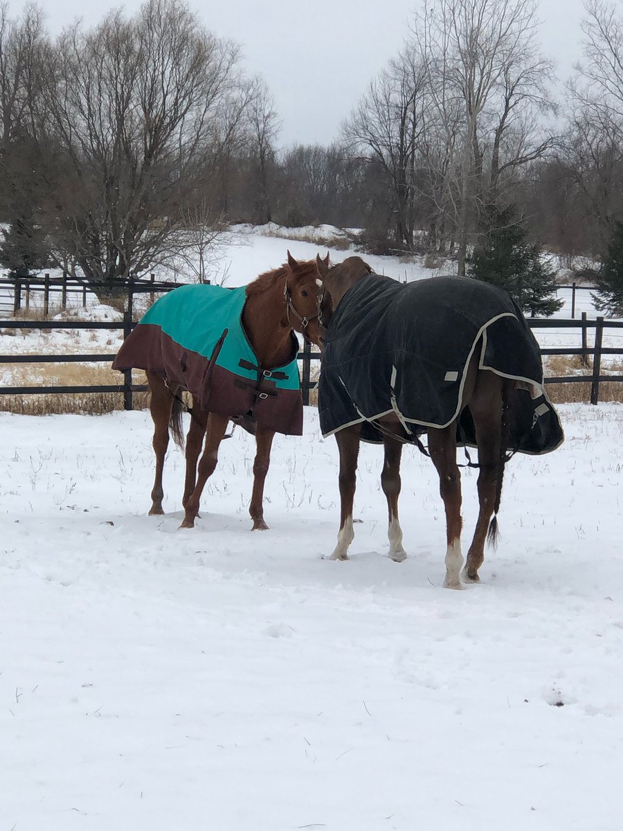 CANTER Kentucky tweet media