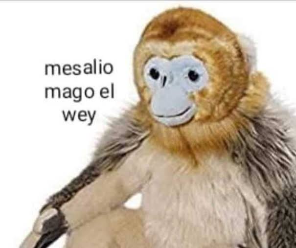 Hector_IM_'s tweet photo. Cuando un cliente me debe 2 meses de honorarios porque según no tiene dinero pero veo que en su estado de cuenta aparece la compra de un iphone 12 Pro Max https://t.co/l55TmMvbWU