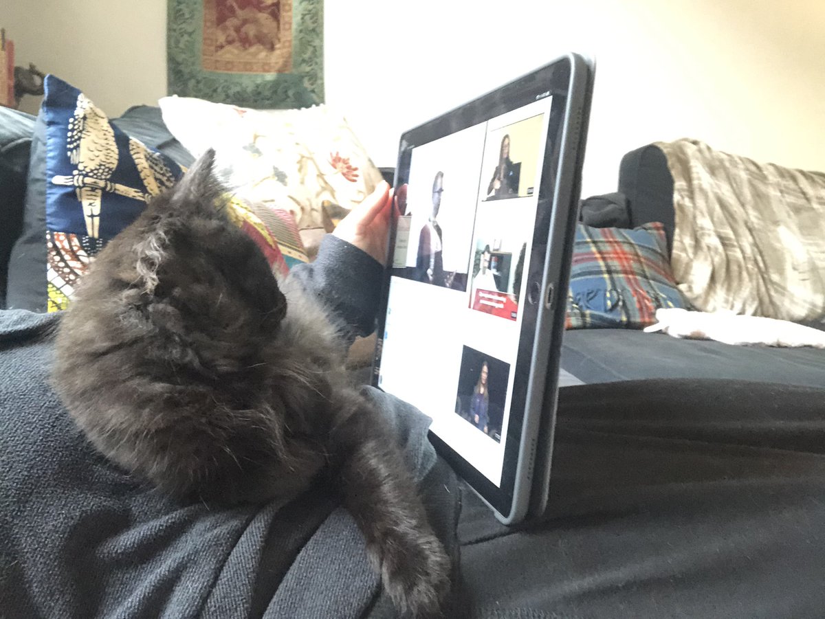KatePirieOT's tweet photo. Today’s working from home task - learning about motivational interviewing https://t.co/IEUGy93zPx
