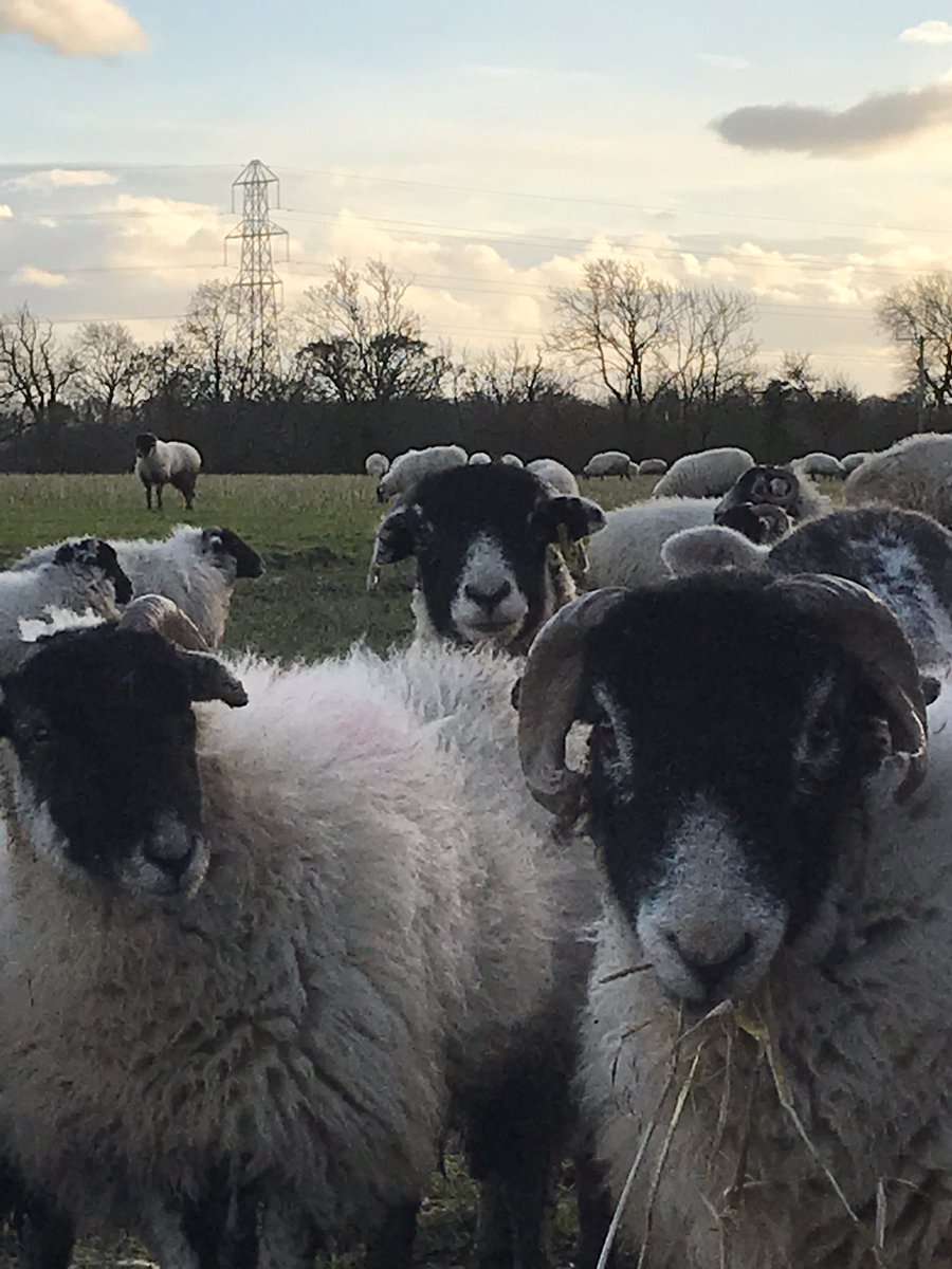 Today is  #BookDirectDay As an independent holiday accommodation owner, we are highlighting the benefits of booking direct! <a href="/Mashamcottage/">Park Street Cottage</a> #parkstreetcottage #bookdirect #holiday #staycation