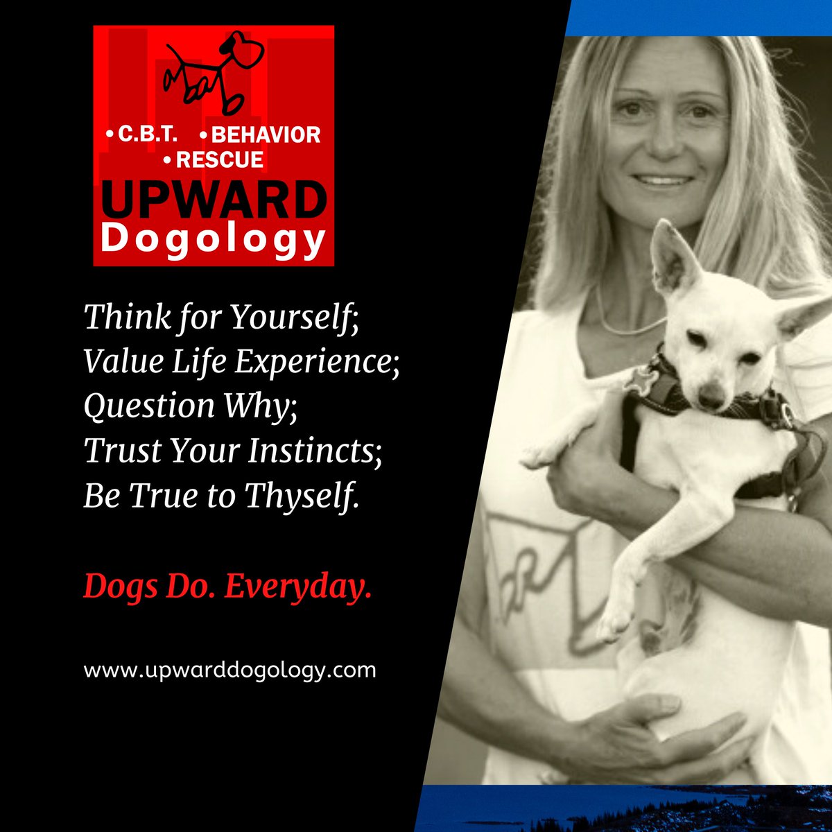 UDogology's tweet photo. Teaching, preaching and researching are rampant in the #dogbehavior world. We have spent 3 decades learning from dogs, which is exactly what separates us. #dogscience #DogLover #doglove #doglovers #dogtraining #dogcognition #dogstudies #dogsoftwitter #animalrights #caninefriends https://t.co/qfUhJBkQsL
