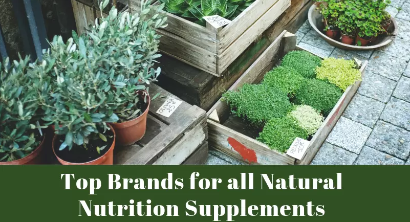 MachoahVitamins's tweet photo. Top 10 Brands for all Natural Nutrition Supplements in 2021 To Know More, Visit
https://t.co/NVS9sFgu4b
#Energy #vitamins #supplements #immunitysupplements #ShopForVitamins #machoah #healthTips #Healthylife https://t.co/YlZXlpURof