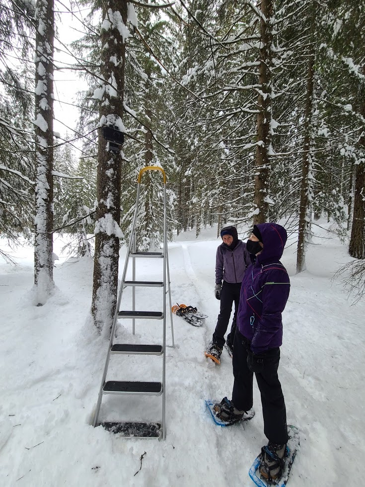 Mountain Hydrology Research Group tweet media