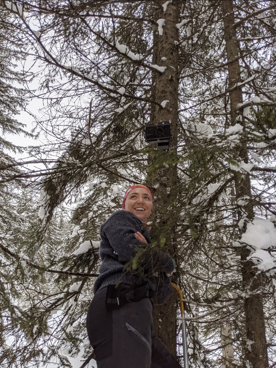 Mountain Hydrology Research Group tweet media