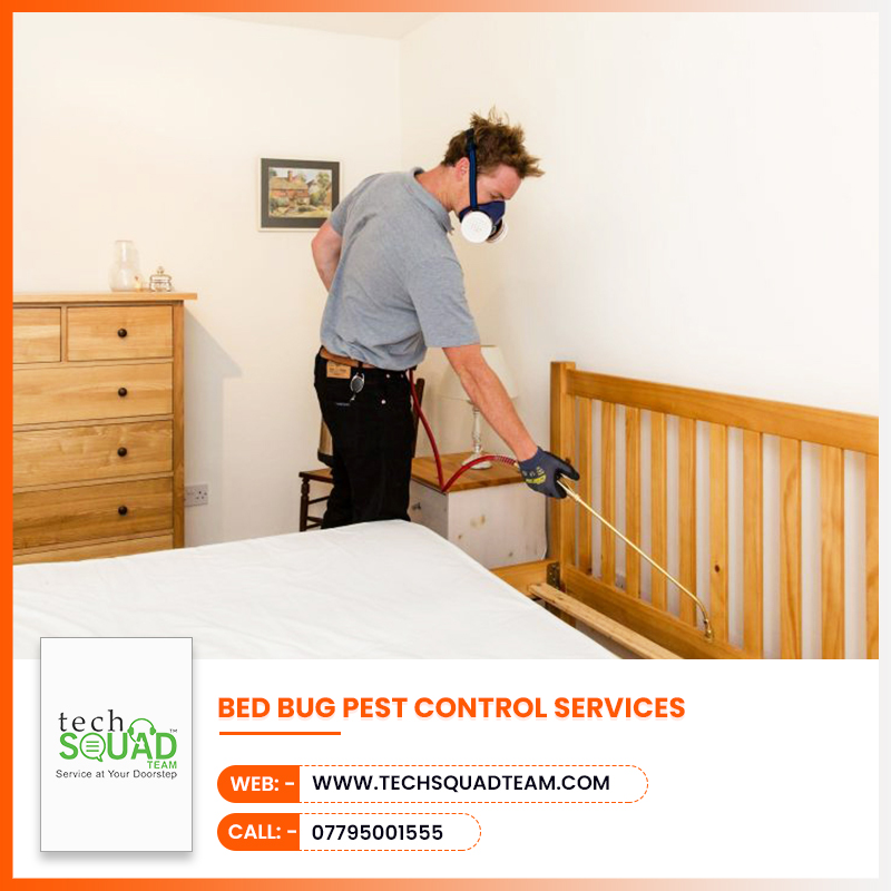 TechSquadTeamIN's tweet image. You can rely on TechSquadTeam to book a professional bed bug pest control services for your home, office, lodge or hotel. Call us to book our best #bedbugpestcontrol service! 
Visit: techsquadteam.com
Android: bit.ly/2M1STGg
IOS : apple.co/35uadLL