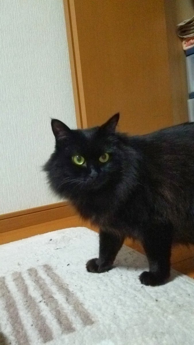 7年前から可愛すぎてどうするんですかね、女王様