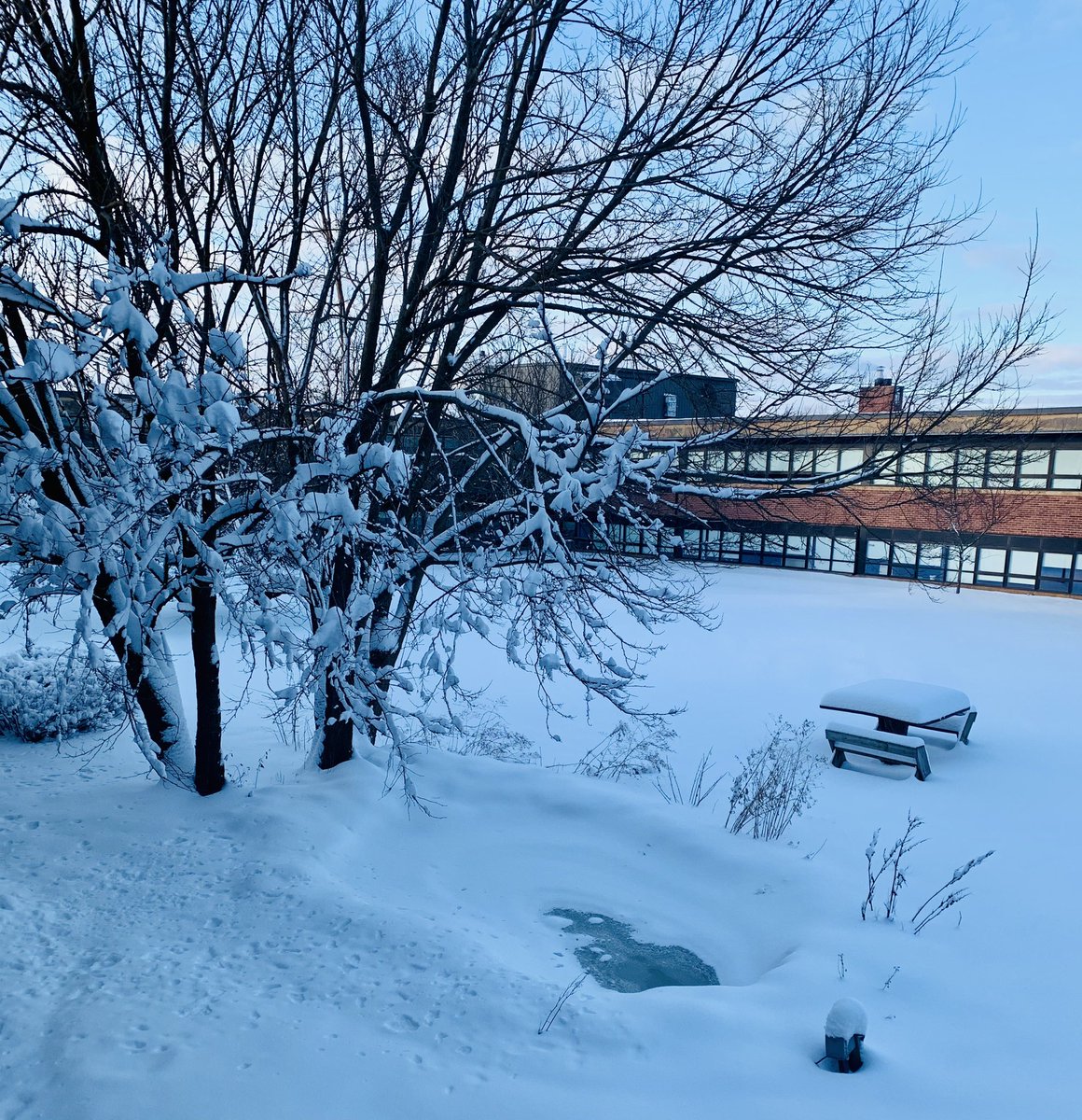 Thomas Maguire (@captaintmag) on Twitter photo 