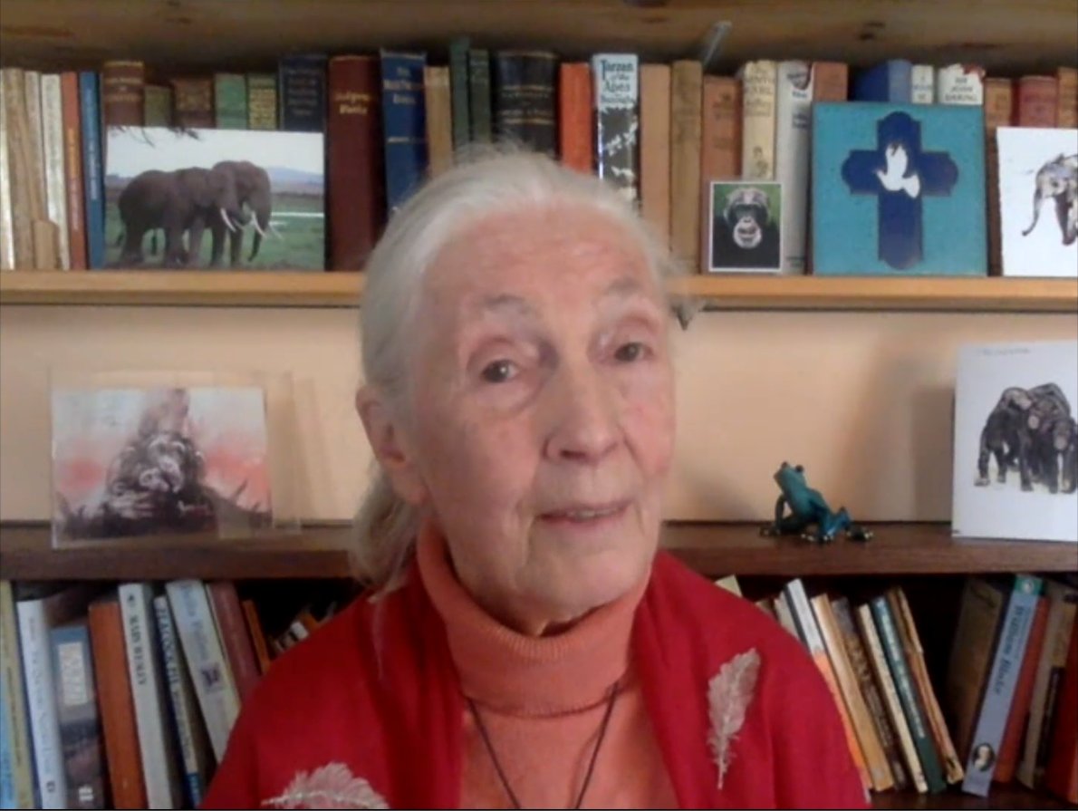 ciwf's tweet photo. "It's very clear that we're experiencing a crisis... we're reaching a point of no return if we don't take action."

@JaneGoodallInst highlights that agriculture and overfishing is having a shocking effect on biodiversity loss. 

#StopBiodiversityLoss #FixOurFoodSystem https://t.co/a4j1hrR24d