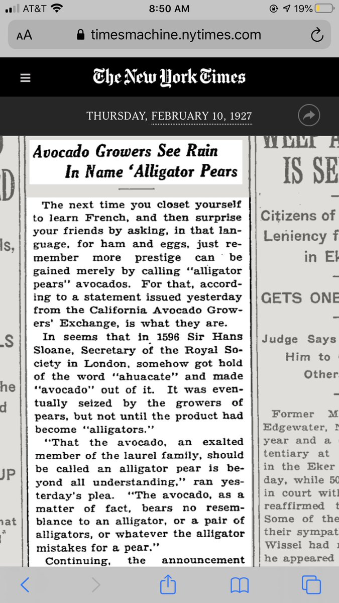 Alexandra Jacobs (@alexandrajacobs) on Twitter photo 