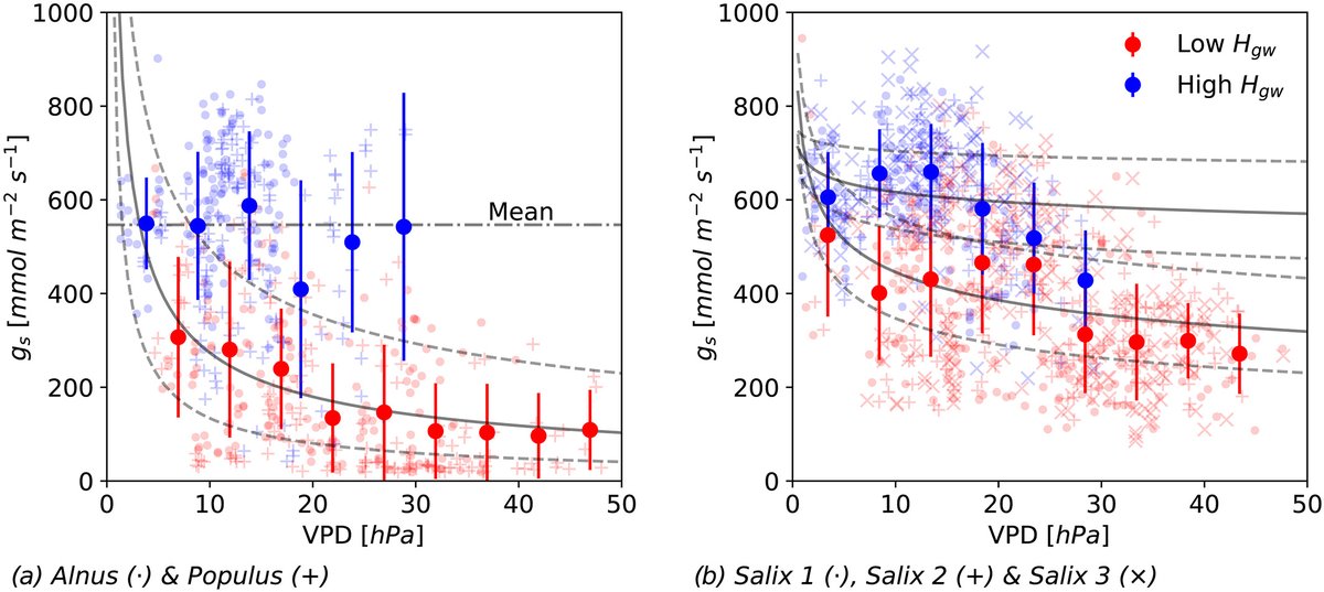 Marius Floriancic (@mariusflorianc1) on Twitter photo stomatal conductance and stem diameter data show that riparian trees regulate transpiration according to groundwater table, great MSc thesis, interesting paper! onlinelibrary.wiley.com/doi/full/10.10… <a href="/EcohydrologyEds/">Ecohydrology</a> stomatal conductance and stem diameter data show that riparian trees regulate transpiration according to groundwater table, great MSc thesis, interesting paper! onlinelibrary.wiley.com/doi/full/10.10… <a href="/EcohydrologyEds/">Ecohydrology</a>