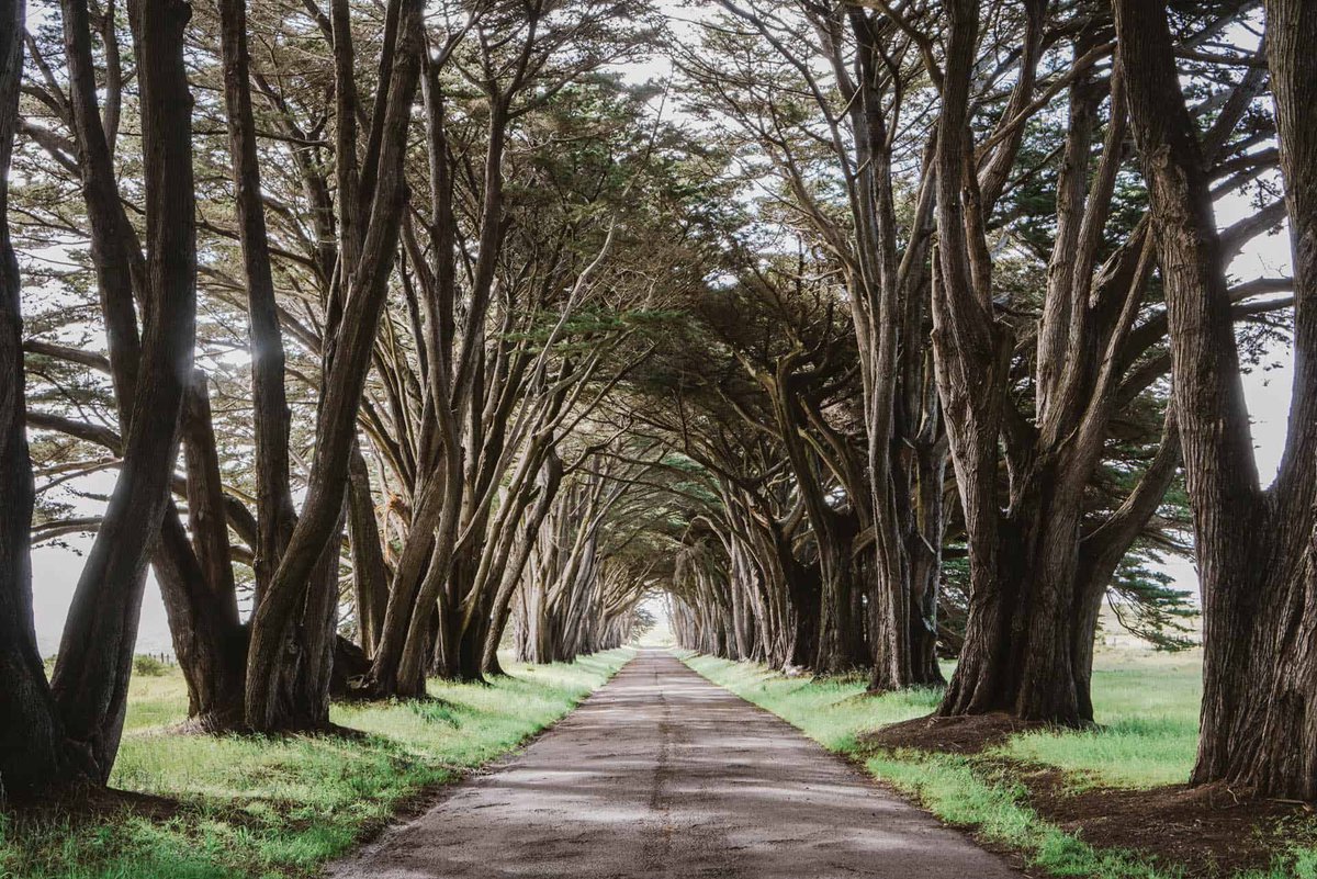 These Epic Places to Visit in Northern California by <a href="/BonTraveler/">Jessica Wright</a>  are giving itchy travel feet! theplanetd.com/places-to-visi… #travel #visitcalifornia