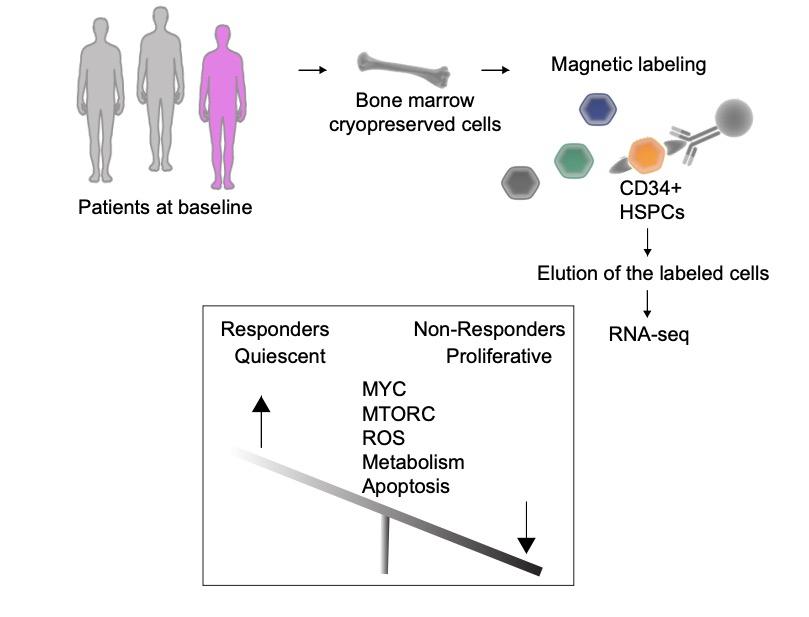 Clinical Cancer Research tweet media