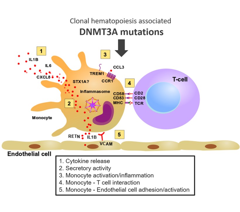 Institute of CVR tweet media