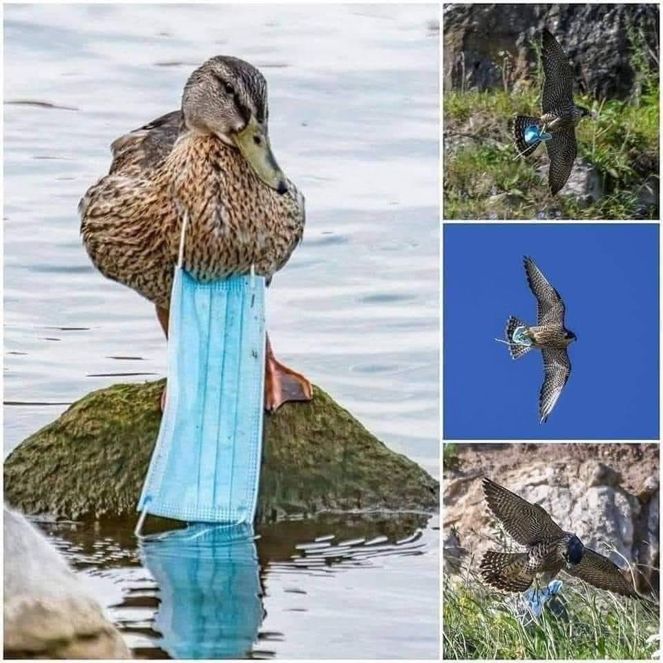 CUT the strings before throwing out.
Reaching as many people as possible: please pass on....