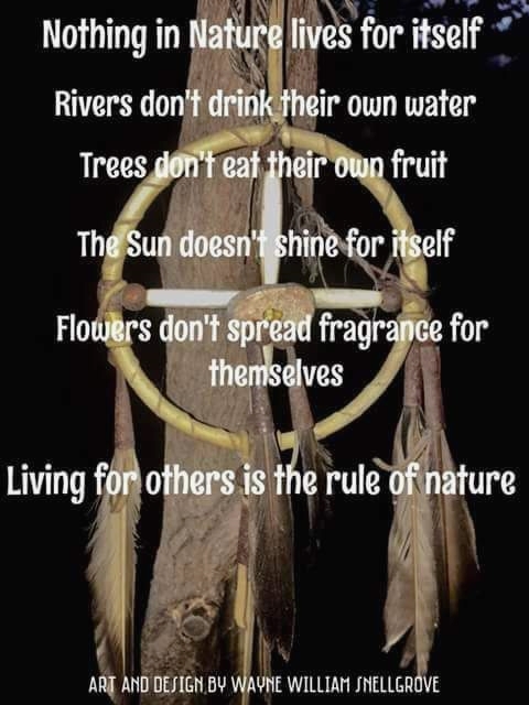 .
.
#nativepride #powwow