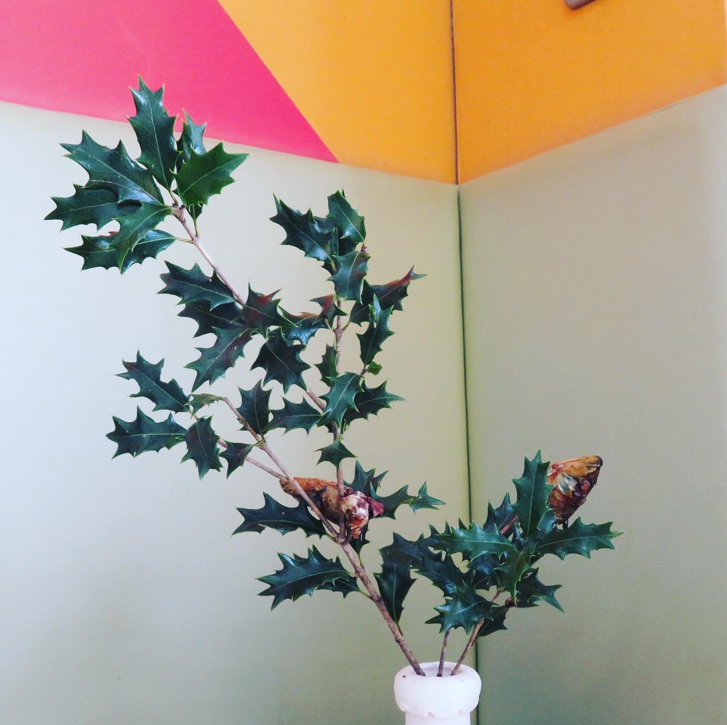 名古屋文化学園保育専門学校 公式 季節の変わり目である立春の前日に豆まきをして邪気を祓う節分行事 節分には伝統的な 柊鰯 ひいらぎいわし という飾りがあります 家の玄関先に飾る 葉のついた柊の枝に焼いた鰯の頭を刺したものです 柊鰯を