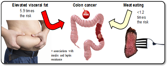 5/ At very small relative risks (<<x2), we just CANNOT formulate strong causal conclusions. Example: someone with elevated visceral fat needs indeed to be worried (6x risk of colon cancer!) For meat, however, risk level is so small (close to x1), that we’re out of business.