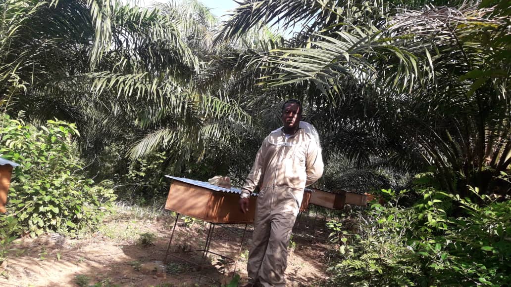 TreeGhana's tweet image. Tree Solutions focuses on enhancing ecological diversity &amp;amp; improving food security through permaculture &amp;amp; agroforestry techniques. #Sustainability #sustainabledevelopment #organicfarming #HealthyLiving #Zerohunger #agriculture #Farmers #FarmingTwitter #Busua #Ghana #Africa