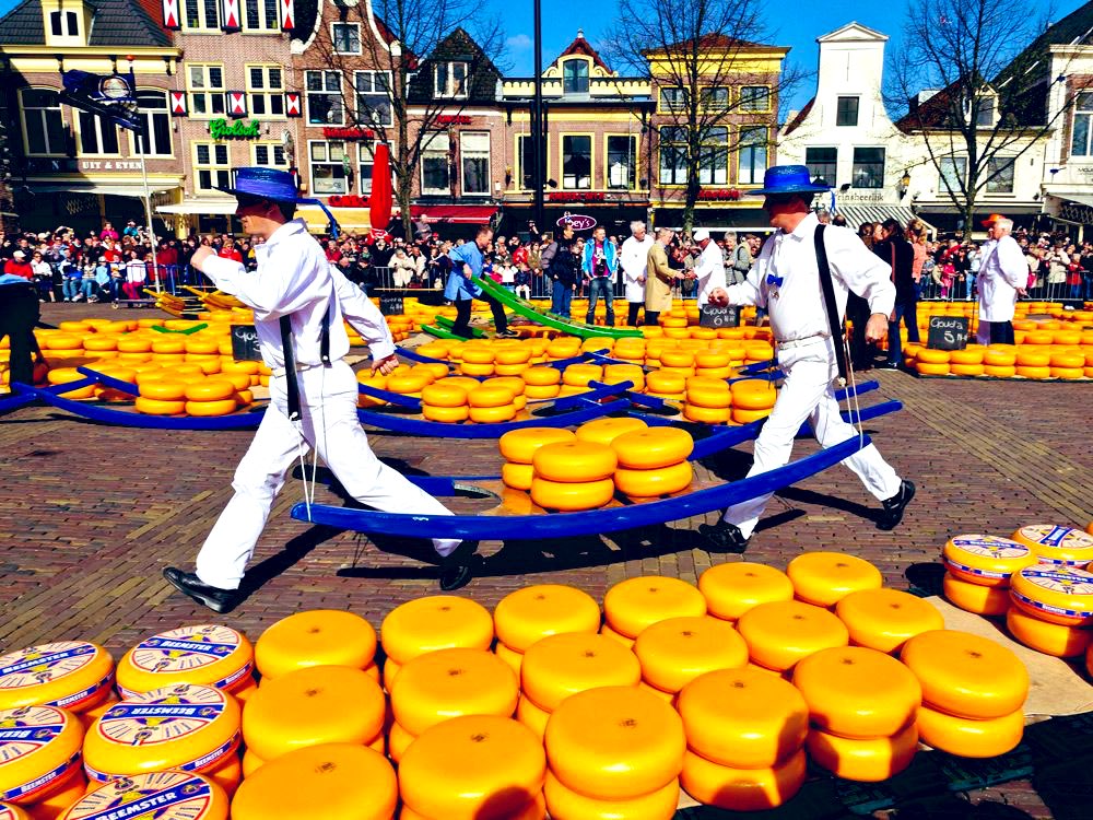 Un nuevo estudio científico muestra que el queso es, con mucho, el alimento más protector contra los problemas cognitivos relacionados con la edad, incluso en etapas avanzadas de la vida.

Manténgase agudo, pida su Gouda!