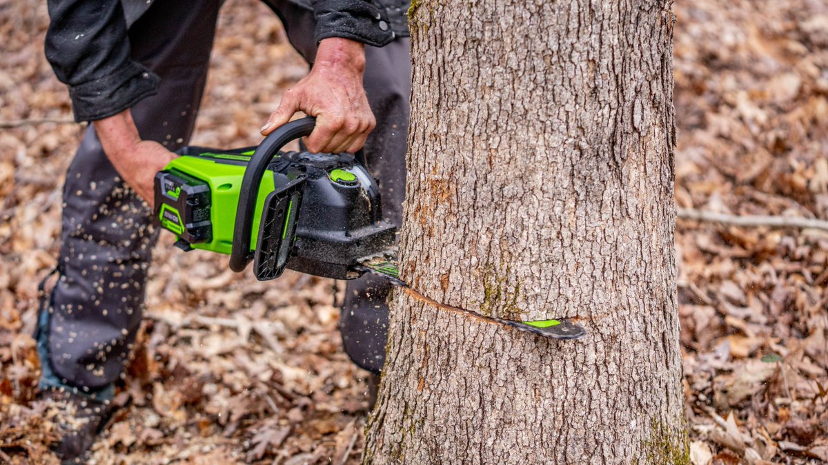 Greenworks tweet media