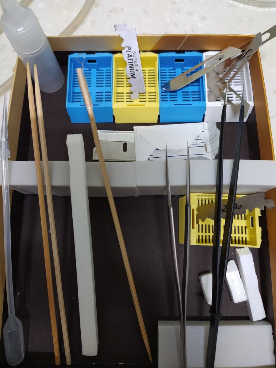 EMhistology's tweet image. my #ultramicrotomy toolbox #ultramicrotome #transmissionelectronmicroscopy #electronmicroscopy