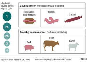 12/ Let's return to the WHO/IARC and its assignment of red meat to Group 2A (“probably carcinogenic to humans”). Why did they do this and what does it mean?