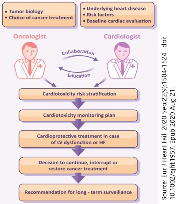 European Society of Cardiology Advocacy (@escadvocacy) on Twitter photo .<a href="/escardio/">European Society of Cardiology</a> welcomes the #EUCancerPlan proposal to strengthen the multidisciplinary #cancer workforce. With growing numbers of patients presenting more than one condition #integratedcare is vital. Cancer should not be treated in isolation. .<a href="/escardio/">European Society of Cardiology</a> welcomes the #EUCancerPlan proposal to strengthen the multidisciplinary #cancer workforce. With growing numbers of patients presenting more than one condition #integratedcare is vital. Cancer should not be treated in isolation.